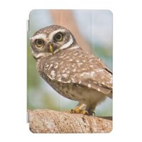 Spotted owl on morning flight. iPad mini cover