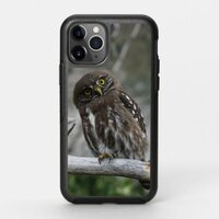 Northern Pygmy Owl OtterBox Symmetry iPhone 11 Pro Case