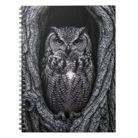 Owl in a Tree Hollow Black and White Notebook