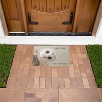 Custom Text Cute Barn Owl Doormat
