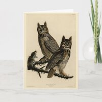 Great Horned Owl from Audubon's Birds of America Card