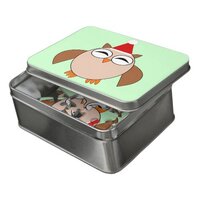 Cute Christmas Owl Acrylic Puzzle