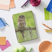 Barred Owl On Tree Limb iPad Air Cover