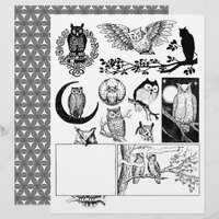 Gorgeous Black & White Line Art Drawings of Owls