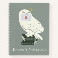 Hedwig With Letter Whimsical Drawing Notebook