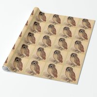 The Little Owl by Albrecht Durer Wrapping Paper