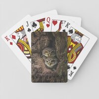 Forests | Two Owls Looking Playing Cards