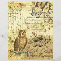 Vintage Owl Scrapbook Decoupage Paper