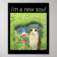 Funny Meowl Meme, Cat Owl Meme Brainrot Gen Alpha  Poster