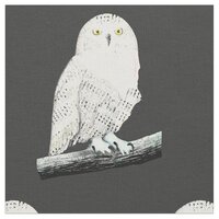 Snowy Owl Fabric