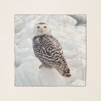 Snowy Owl square scarf