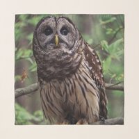 Barred Owl Scarf