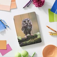 Cutest Baby Animals | A Baby Owl iPad Air Cover