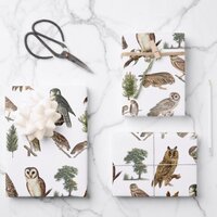 Vintage Owl Watercolor Forest Pattern  Wrapping Paper Sheets