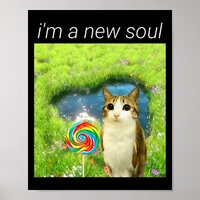 Funny Meowl Meme, Cat Owl Meme Brainrot Gen Alpha  Poster