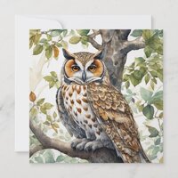 Beautiful Owl Sitting on a Tree Branch  Card