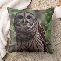Barred Owl Throw Pillow
