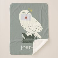 Hedwig With Letter Whimsical Drawing Sherpa Blanket