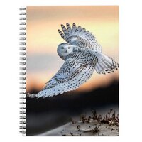 Snowy owl in flight notebook