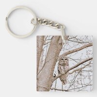 Beautiful Barred Owl Audubon Valentine’s  Keychain