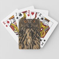 Evil looking owl playing cards