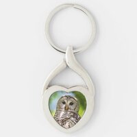 Barred Owl of the Hudson Valley &ndash; Nature & Wildlif Keychain