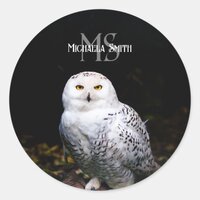 Majestic winter snowy owl monogram custom name classic round sticker