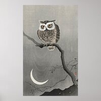 Long-Eared Owl on Branch – Vintage Serenity Poster