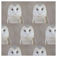 Barn Owl Fabric