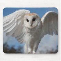 **OWL IN FLIGHT** MOUSE PAD