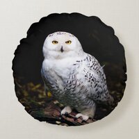 Majestic winter snowy owl round pillow