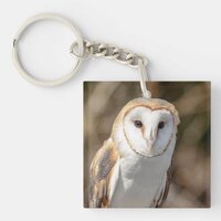 Barn Owl Keychain