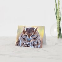 Owl Wise Eyes Greeting Card