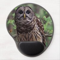 Barred Owl Gel Mouse Pad