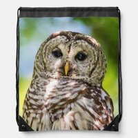 Barred Owl of the Hudson Valley &ndash; Nature & Wildlif Drawstring Bag
