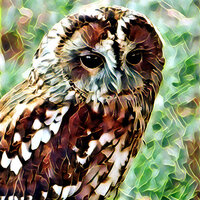 OWL iPad AIR COVER