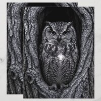 Owl in Tree Hollow Black and White Scrapbook Paper