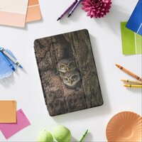 Forests | Two Owls Looking iPad Air Cover