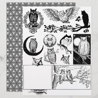 Gorgeous Black & White Line Art Drawings of Owls