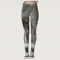 Northern Pygmy Owl Leggings