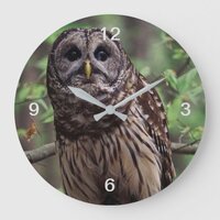Barred Owl Large Clock