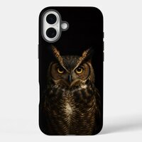 Black 4 Luxe iPhone 16 Plus Mate, Golden Eye Owl iPhone 16 Plus Case