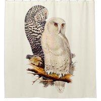 Vintage Snowy Owl Drawing Shower Curtain