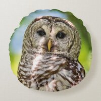 Barred Owl of the Hudson Valley &ndash; Nature & Wildlif Round Pillow