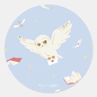 Hedwig Owl Post Letters and Books Pattern Classic Round Sticker