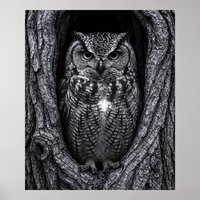 Owl in a Tree Hollow Black and White Poster