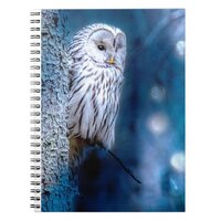 Blue owl notebook