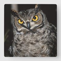 Great Horned Owl  2 Square Wall Clock