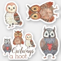 Adorable Watercolor Owls Owlways a Hoot Sticker