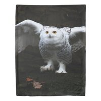 Snowy Owl With Open Wings tccna Duvet Cover